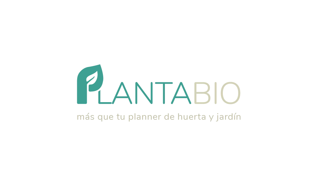 Cliente de BON Design